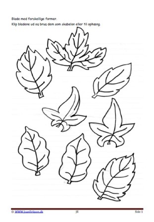 Skabeloner til blade. bruges til undervisning i billedkunst og temaet skoven, forår, efterår.