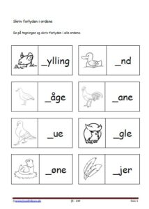 Dansk undervisning i stavning og forlyd. Tema. Fugle