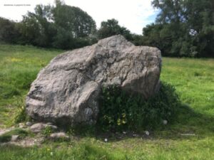 Bolund halvø og strandeng. undervisningsmaterialer til udflugter og lejrskoler.