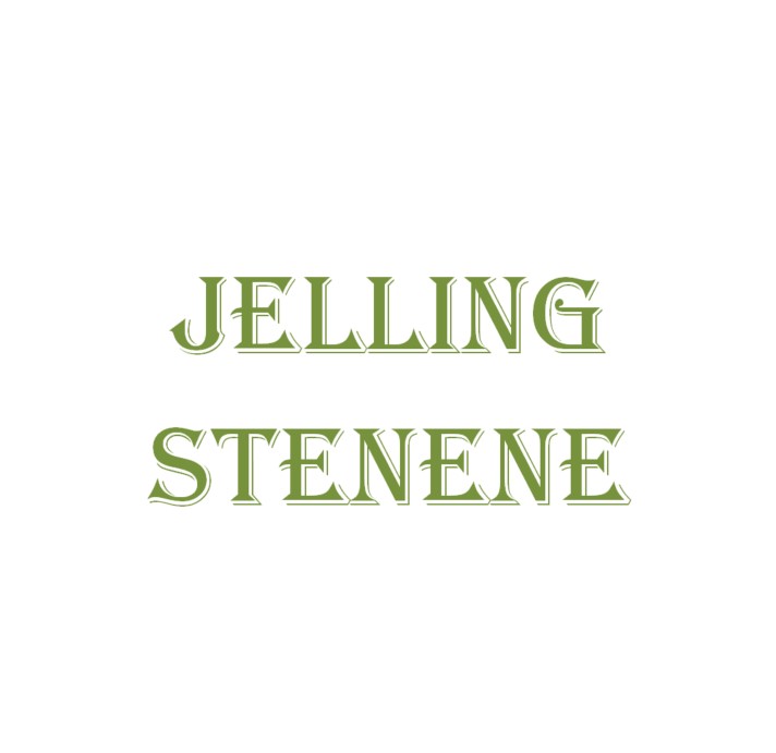 Undervisningsmaterialer til Jellingstenene