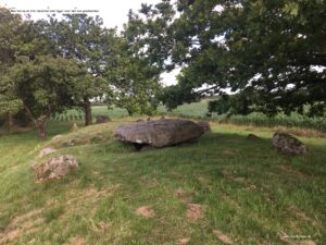 Store Jyndovn en langdysse fra bondestenalderen. Undervisnings materialer til udflugter og lejrskoler og historie.