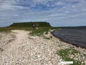 Bolund halvø og strandeng. undervisningsmaterialer til udflugter og lejrskoler.