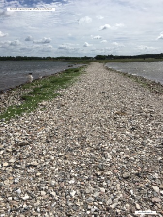 Bolund halvø og strandeng. undervisningsmaterialer til udflugter og lejrskoler.