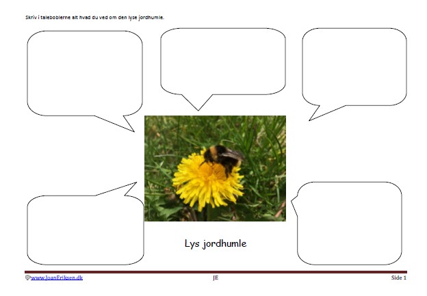 Skriveark til faglitteratur elevopgaver til undervisningen. Insekter