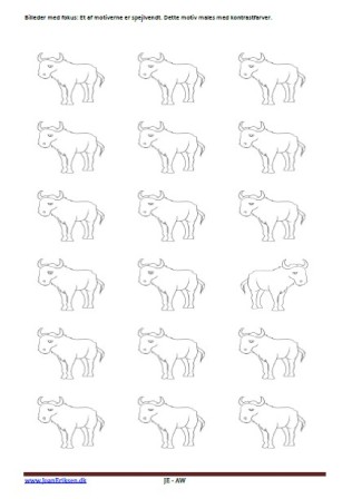 Elevopgave: Figurerne males og den spejlvendte figur males i en kontrastfarve. Tema: Pattedyr. Vilde dyr. Zoologisk have. Skoven.