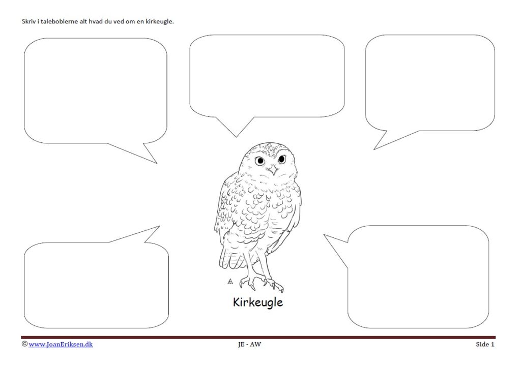 Beskriv i taleboblerne Kirkeugle. Opgave til undervisning i temaet Fugle.