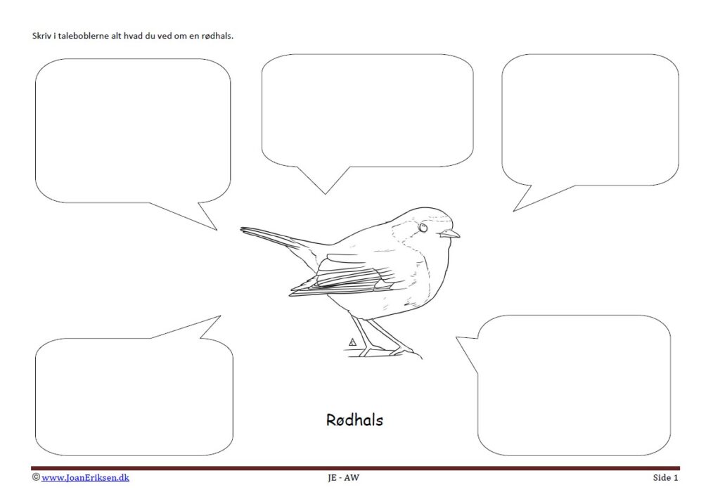 Beskriv i taleboblerne Rødhals. Opgave til undervisning i temaet Fugle.
