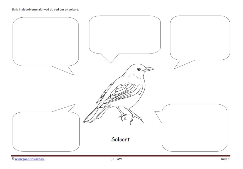 Beskriv i taleboblerne Solsort. Opgave til undervisning i temaet Fugle.