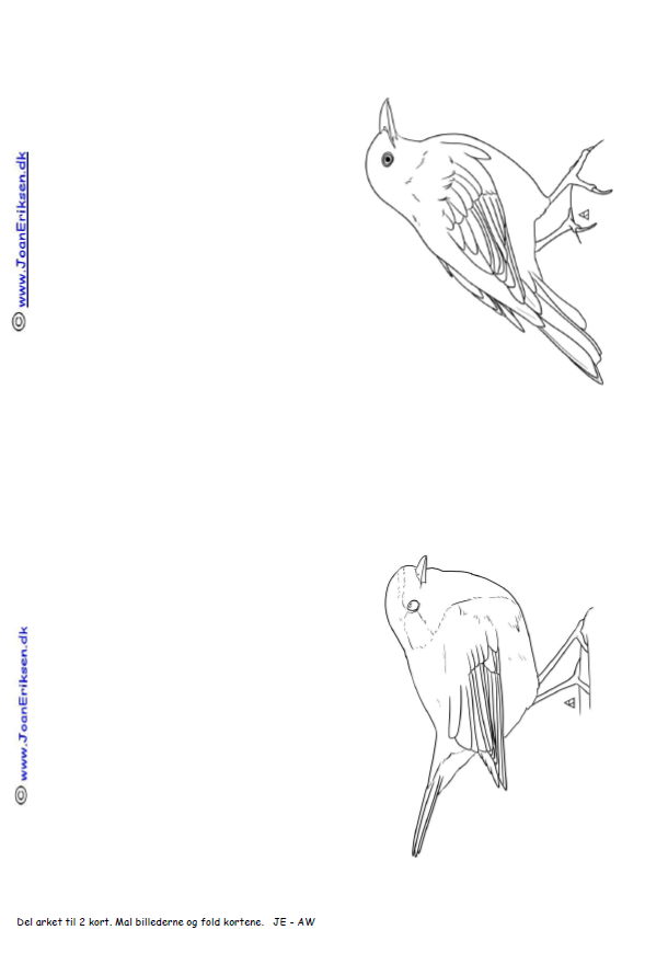 Undervisning i temaet fugle. Mal kort med rødhals og solsort