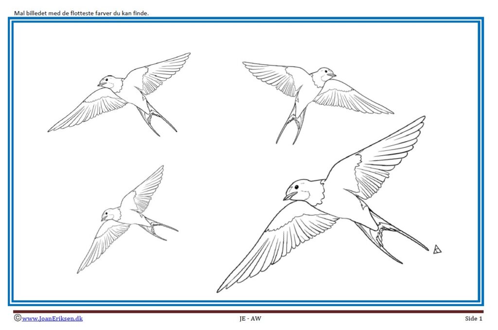 Maleside med svaler til undervisning i temaet Fugle.