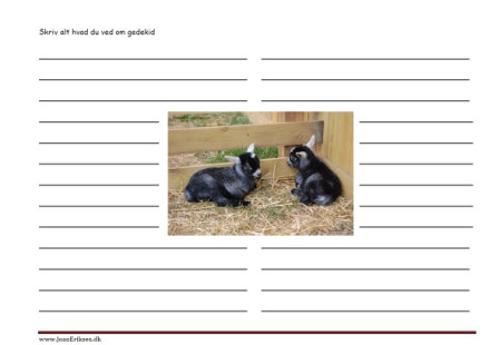 Skriv alt hvad du ved om geder. Skriveark til faglitteratur.