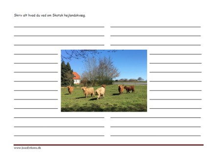 Skriv alt hvad du ved om kvæg. Skriveark til faglitteratur. Landbrug, pattedyr.