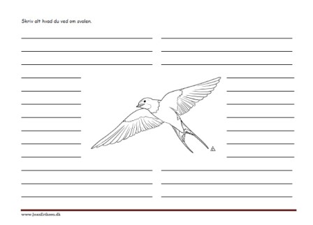 Skriv alt hvad du ved om svalen. Skriveark til faglitteratur. Fugle.
