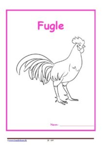 Forside til hæfte med temaet fugle.