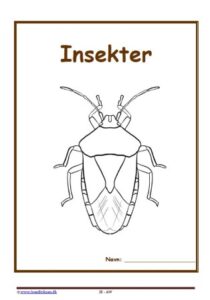 Forside til hæfte med temaet insekter.