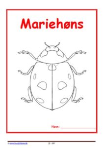 Forside til hæfte med temaet mariehøns.