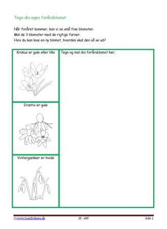 Elevopgave med design. Forår. Blomst